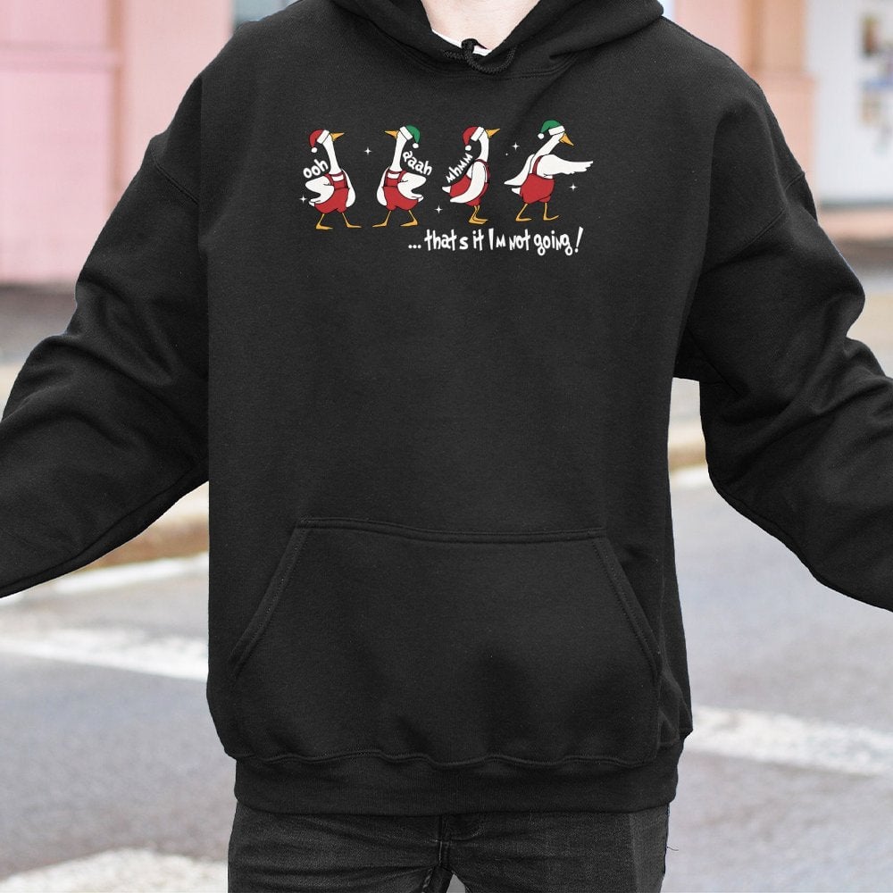 Humorous Holiday Quote Sweatshirt, Silly Goose Christmas Hoodie, Retro Honk Xmas Pullover, Sarcastic Animal Lover Holiday Swe