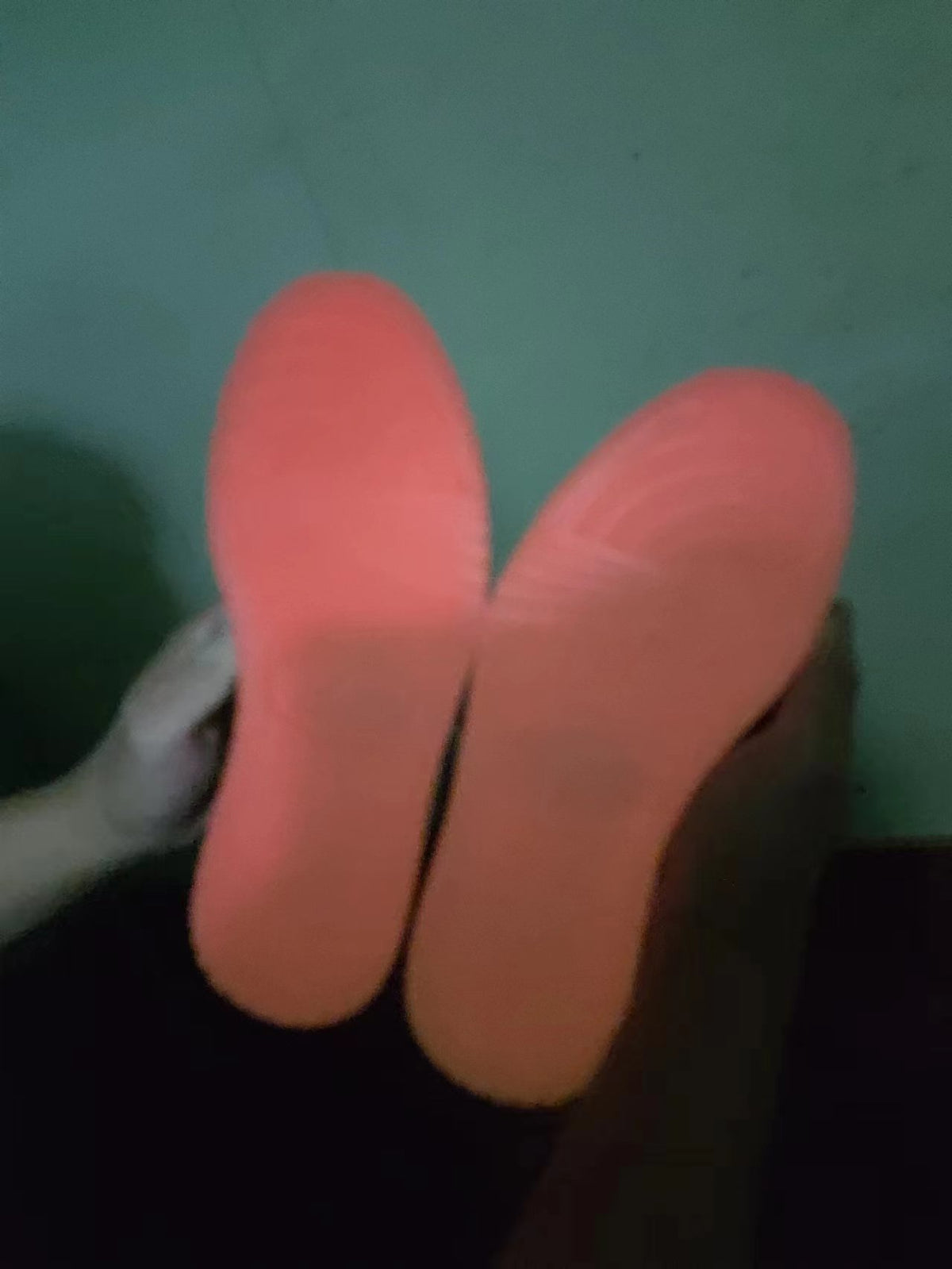 Sneakers, Casual Gift for Sneaker Fans
