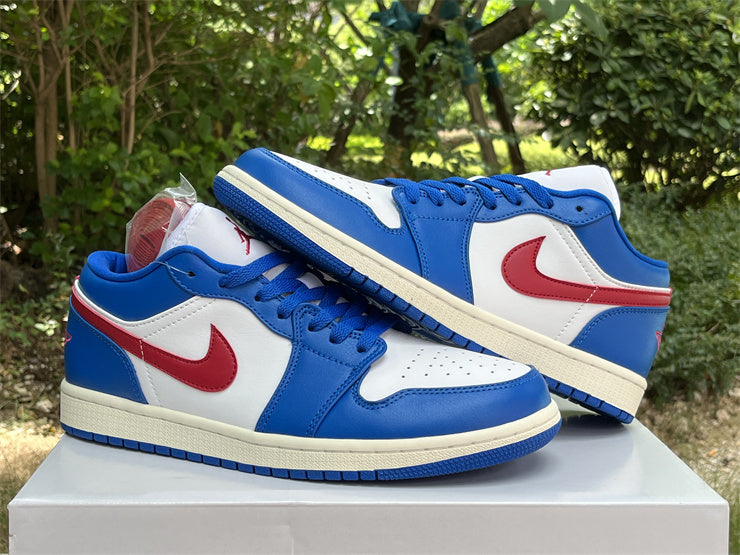 Low Top Sneakers, Blue Colorway, Lace Up Design, Casual Gift for Sneaker Fans