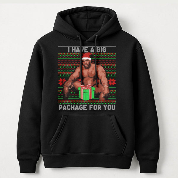 Humorous Adult Meme Holiday Sweatshirt, Big Package Ugly Christmas Hoodie, Sarcastic Dirty Santa Gag Present Pullover, Naught