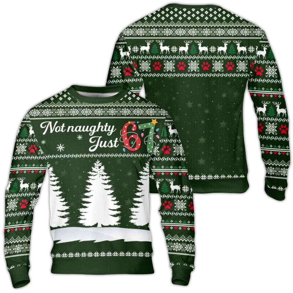 Not Naughty Just 67 Sweatshirt, 67th Birthday Ugly Christmas Sweater, Humorous Holiday Party Pullover, 67 Year Old Xmas Prese