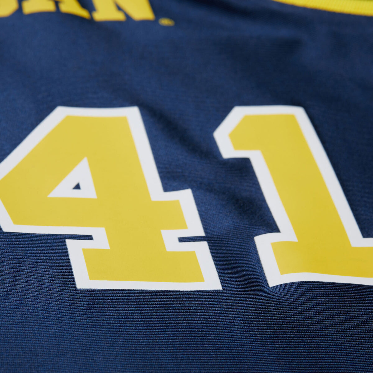 Mitchell & Ness Glen Rice Navy Michigan Wolverines 1988/89 Authentic Jersey