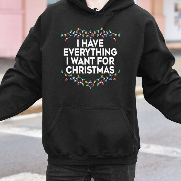 Matching Couple Christmas Lights Sweatshirt, I Have Everything I Want for Christmas Hoodie, Humorous Xmas Pullover, Comfy Hol