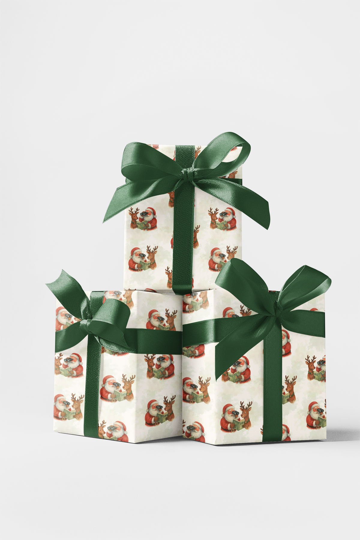 Whimsical Christmas Wrapping Paper, Birdwatching Santa Wrapping Paper, Santa and Reindeer Gift Wrap, Nature Lover Holiday Wra