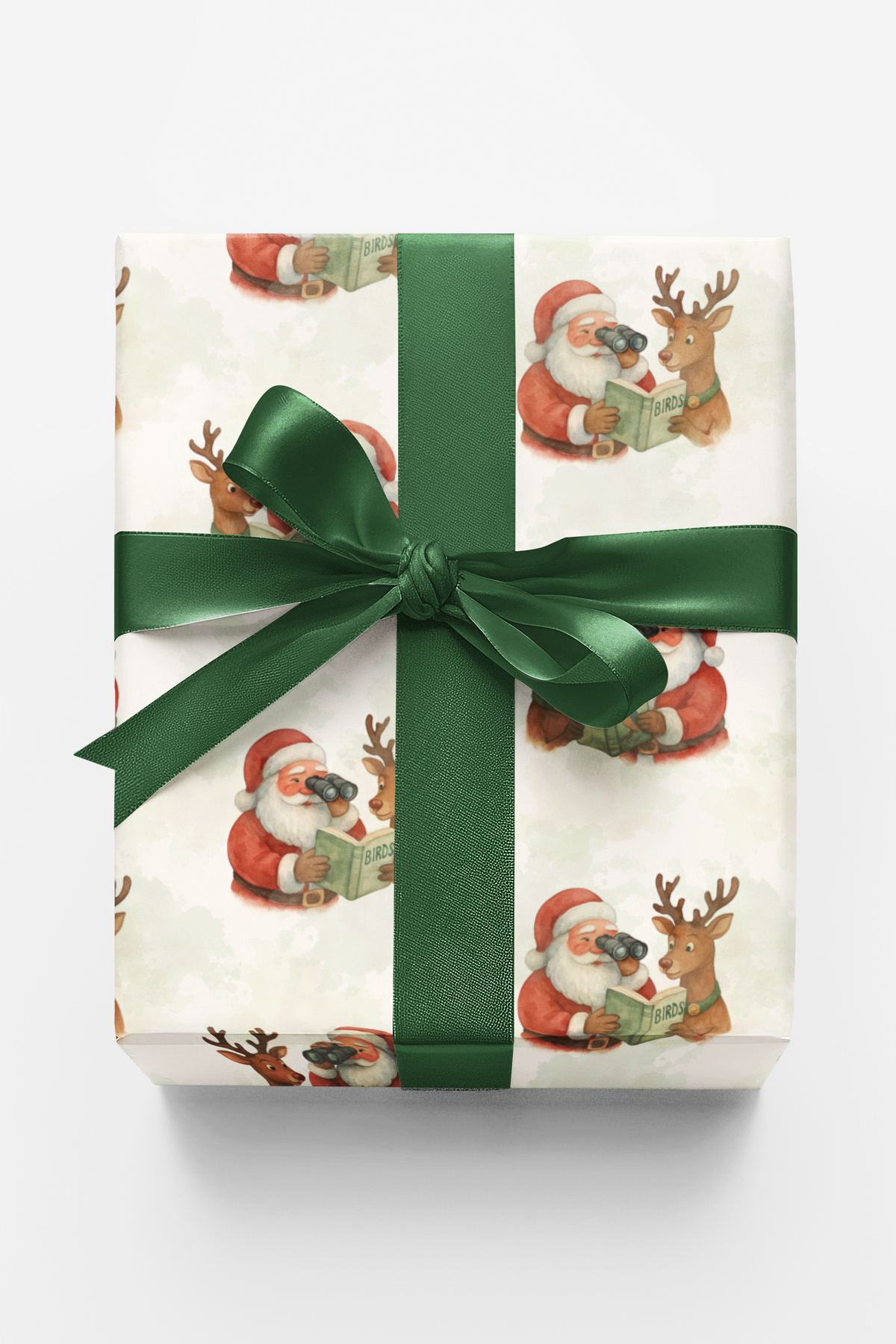 Whimsical Christmas Wrapping Paper, Birdwatching Santa Wrapping Paper, Santa and Reindeer Gift Wrap, Nature Lover Holiday Wra