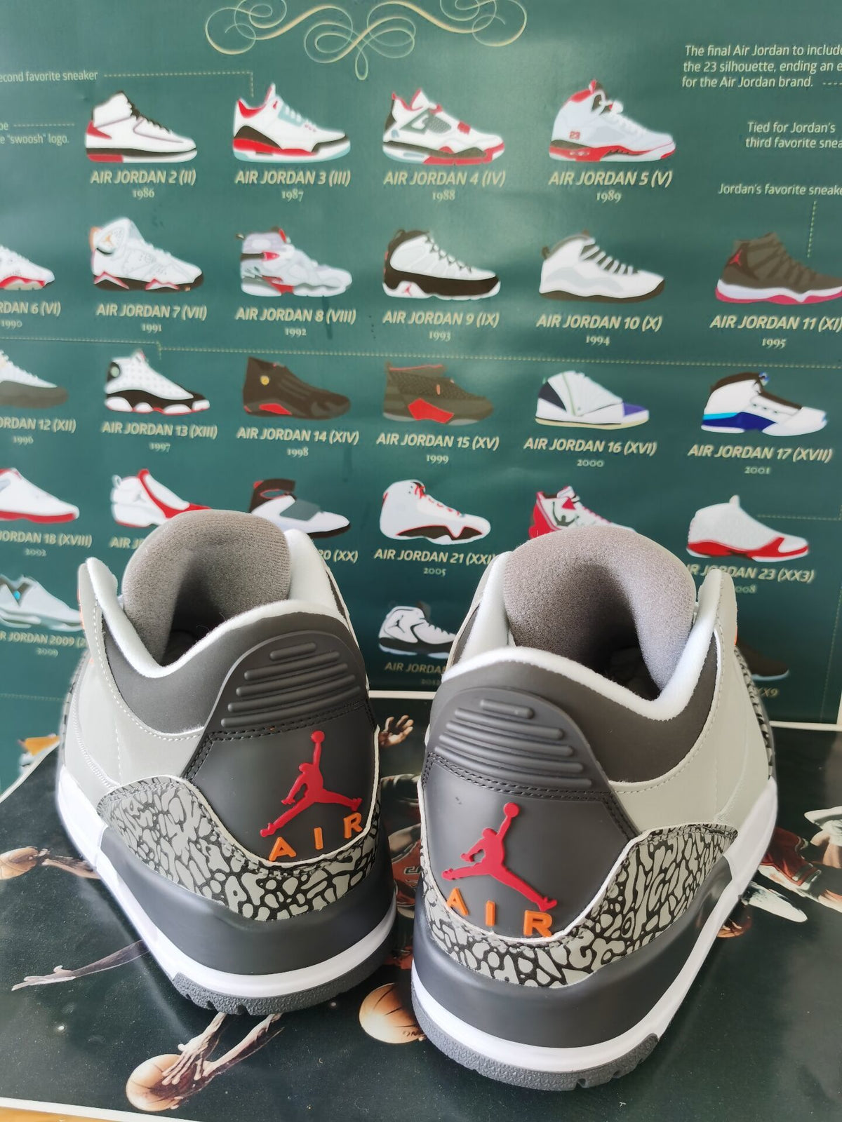 Low Top Sneakers, Gray Colorway, Lace Up Design, Casual Gift for Sneaker Fans