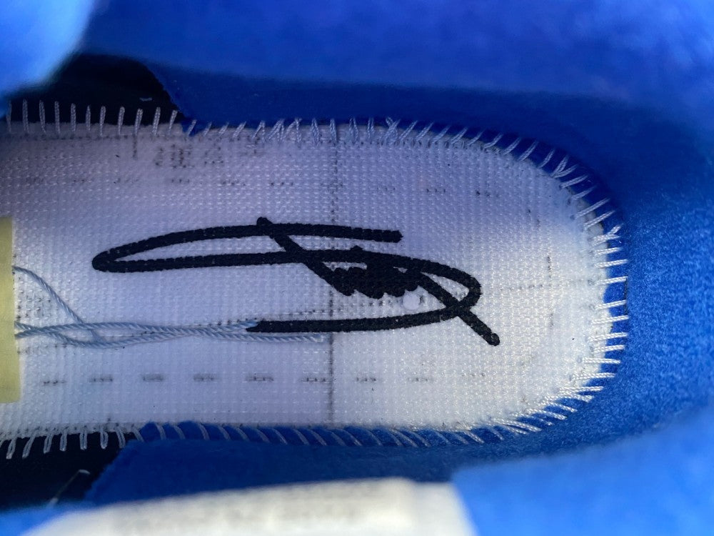 Low Top Sneakers, Blue Colorway, Lace Up Design, Casual Gift for Sneaker Fans