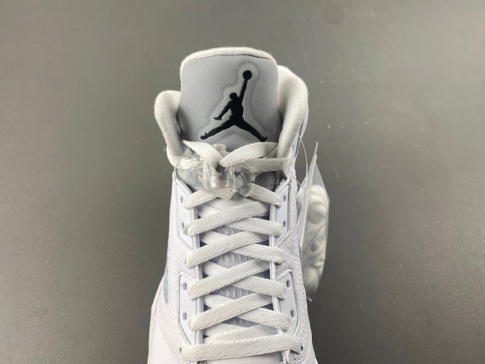 Low Top Sneakers, White Silver Colorway, Lace Up Design, Casual Gift for Sneaker Fans