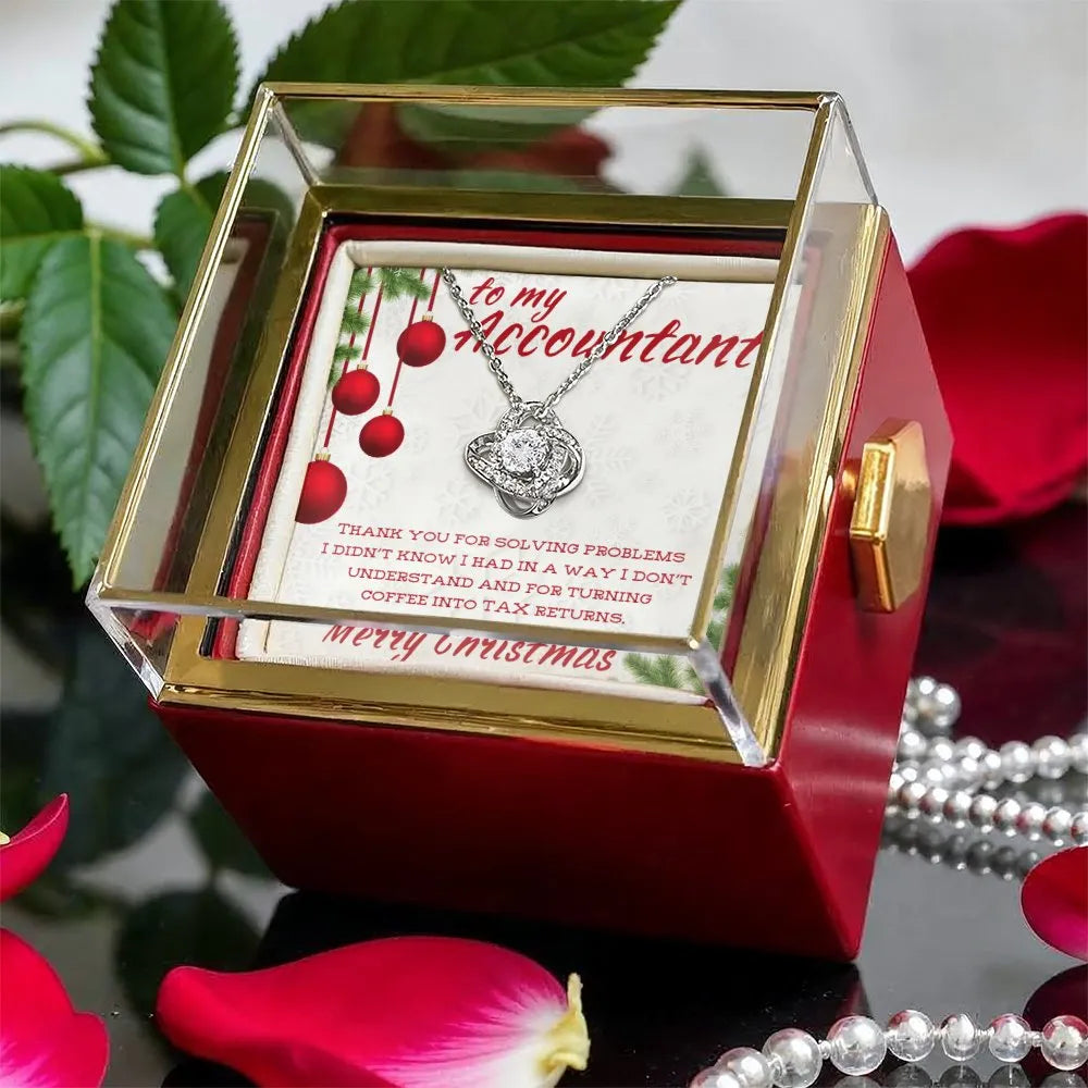 CZ Pendant Necklace, Accountant Love Knot Necklace, Rose Box Necklace, Heartfelt Accountant Appreciation Jewelry, Christmas P