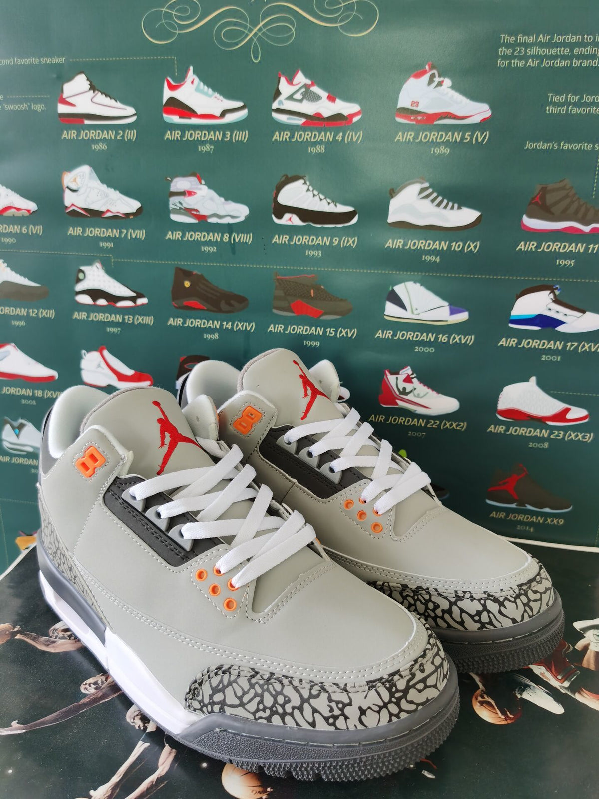 Low Top Sneakers, Gray Colorway, Lace Up Design, Casual Gift for Sneaker Fans