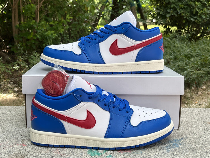 Low Top Sneakers, Blue Colorway, Lace Up Design, Casual Gift for Sneaker Fans