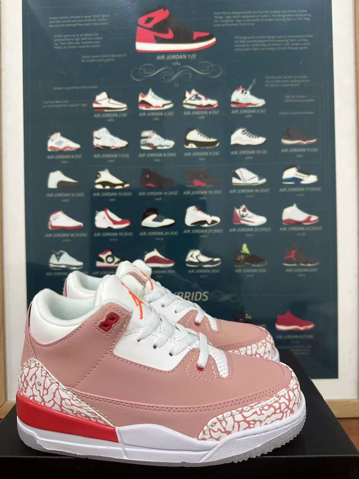 Low Top Sneakers, Gray White Colorway, Lace Up Design, Casual Gift for Sneaker Fans