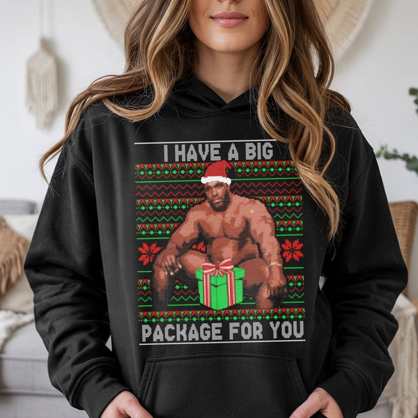 Humorous Adult Meme Holiday Sweatshirt, Big Package Ugly Christmas Hoodie, Sarcastic Dirty Santa Gag Present Pullover, Naught