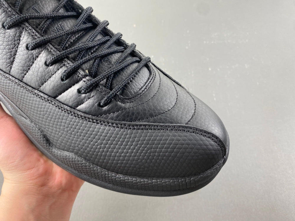 Low Top Sneakers, Black Colorway, Lace Up Design, Casual Gift for Sneaker Fans