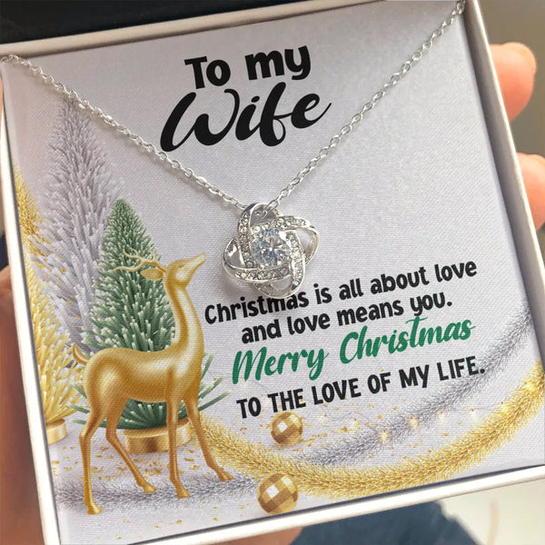 14k White Gold Finish Knot Necklace, Love Knot Necklace for Wife, Cubic Zirconia Pendant Necklace, Romantic Christmas Holiday