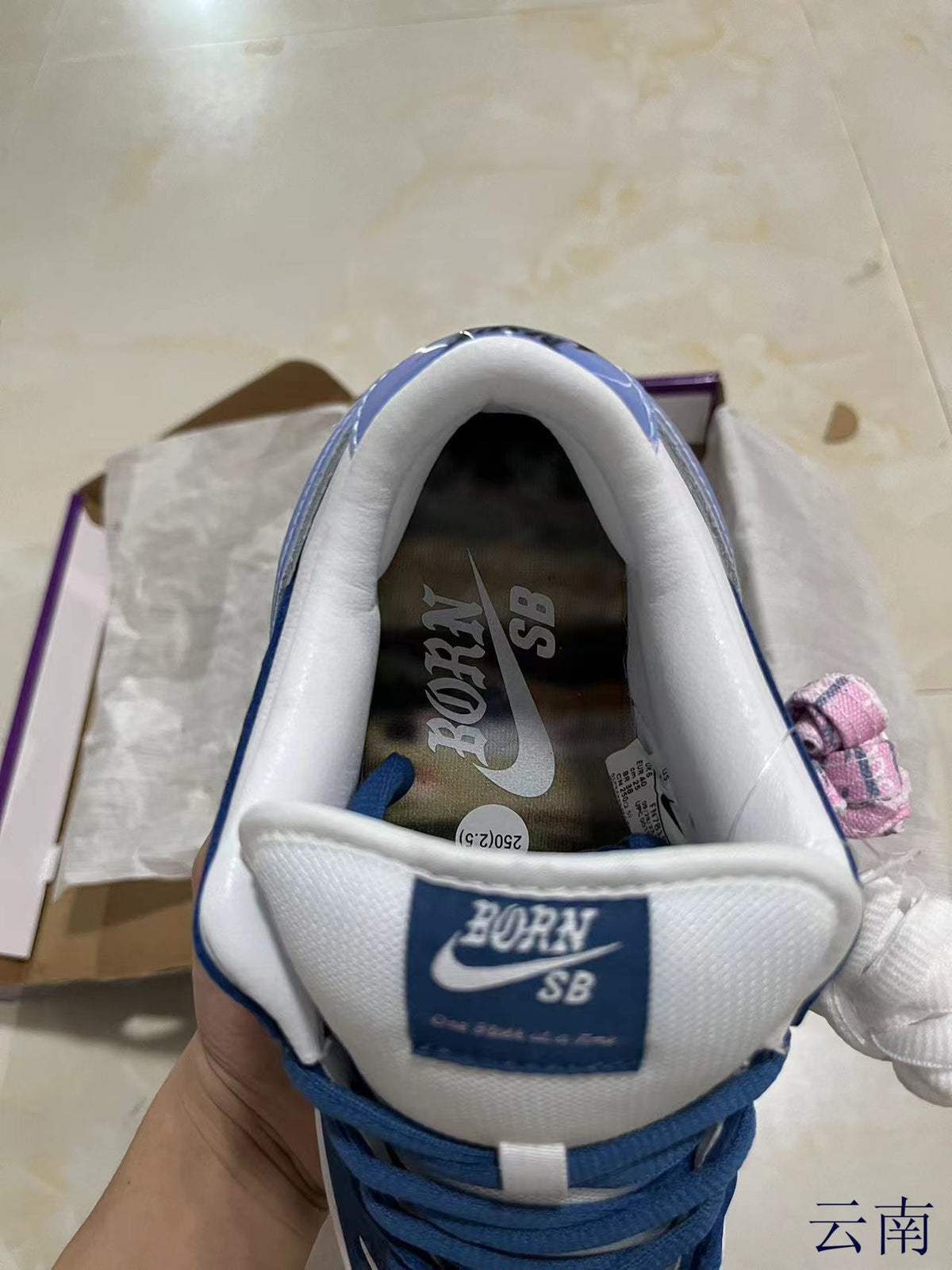 Low Top Sneakers, Blue White Colorway, Lace Up Design, Casual Gift for Sneaker Fans