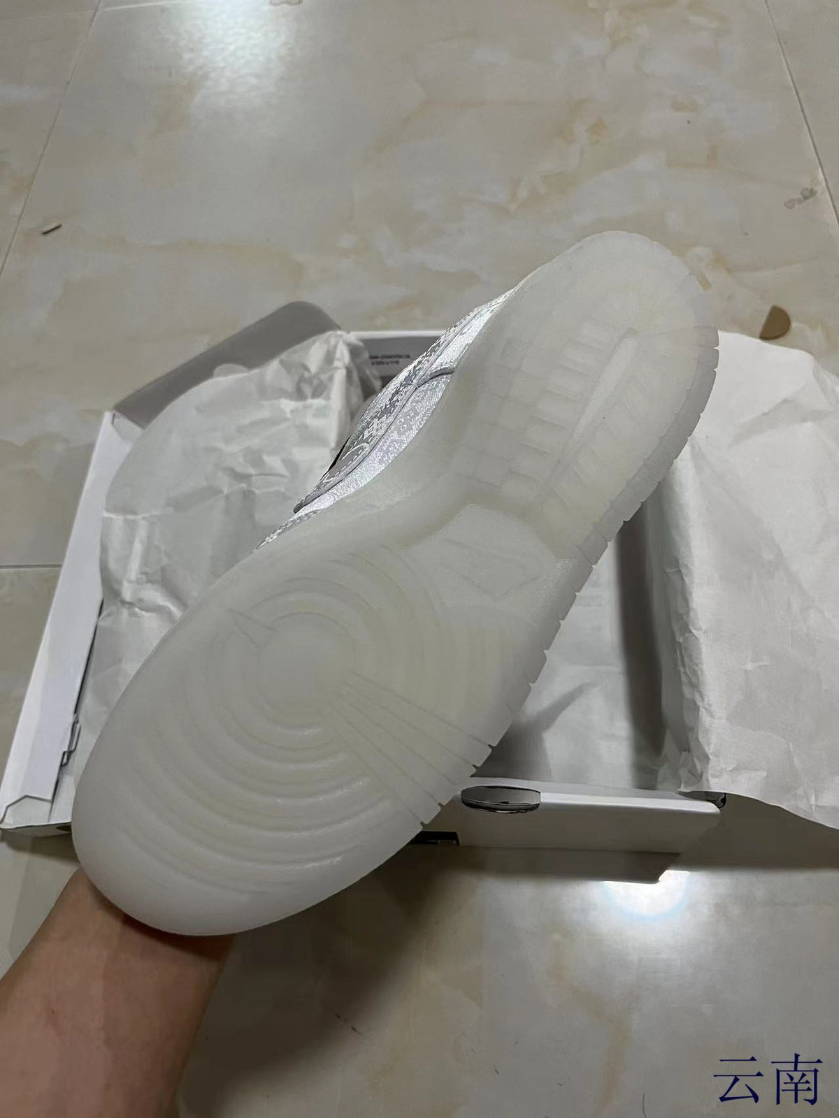 Low Top Sneakers, White Colorway, Lace Up Design, Casual Gift for Sneaker Fans