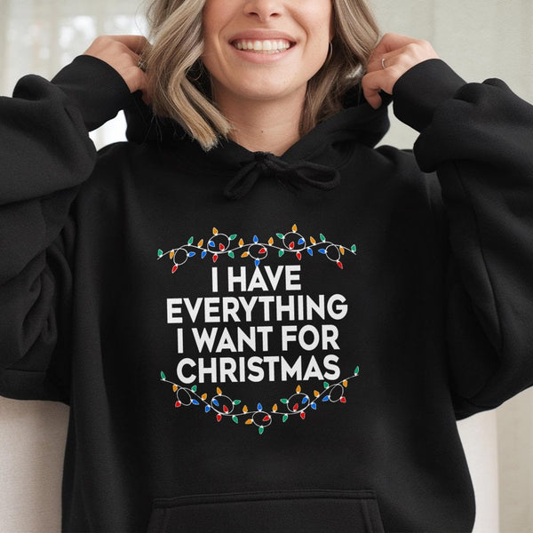 Matching Couple Christmas Lights Sweatshirt, I Have Everything I Want for Christmas Hoodie, Humorous Xmas Pullover, Comfy Hol